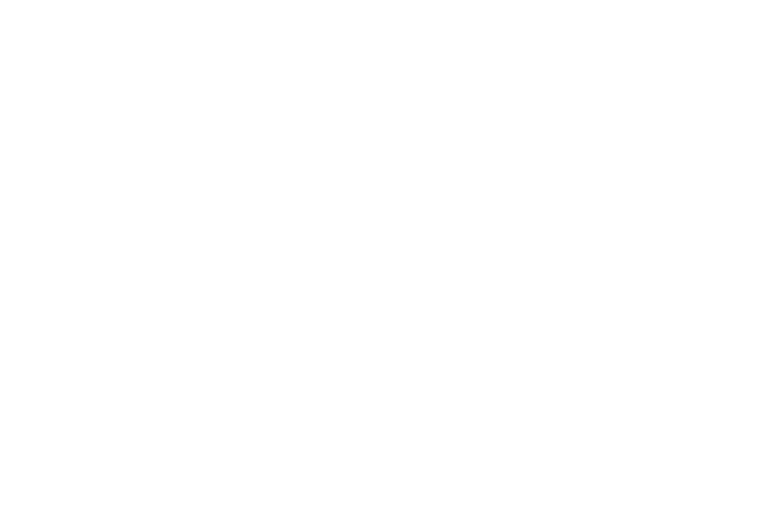 Daily Land Surveying